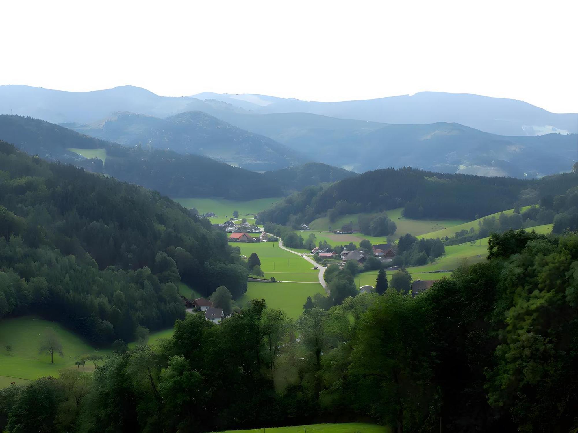 Ruhige Schwarzwald Ferienwohnung Buchenbach  Exterior photo